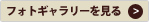 フォトギャラリー