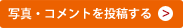 コメントを投稿する